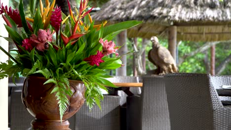 Hermosa-Decoración-De-Arreglos-Florales-Tropicales-En-El-Restaurante-Junto-Al-Mar