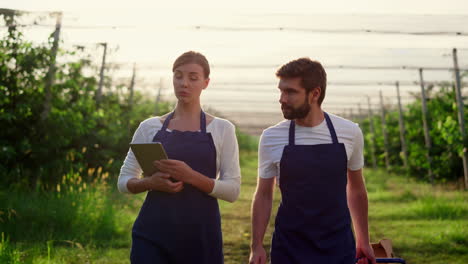 two agronoms check harvest using tablet researching natural produce in orchard.