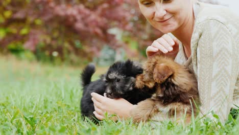 happy with your favorite puppies. a woman is playing with two dogs, lying on a lawn in her yard