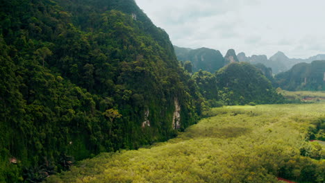 stunning mountainous jungle valley landscape