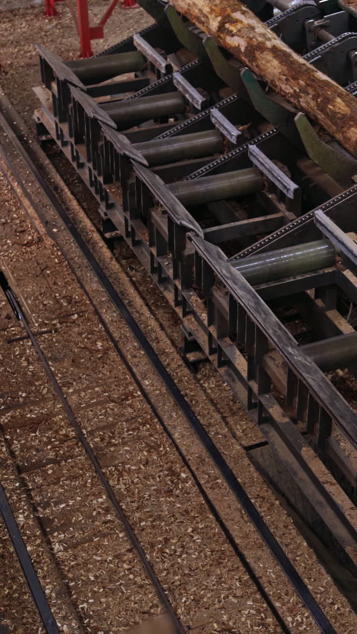 Assembly line in production. Production and processing of wooden boards at industrial factory. Vertical video