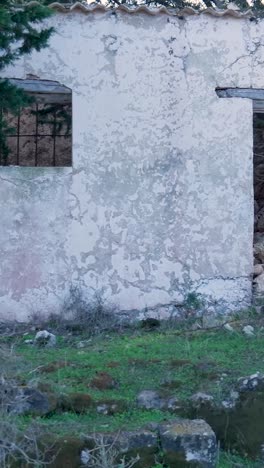 abandoned rustic building with overgrown plants