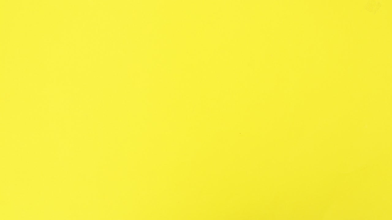 para los huevos aparecen en el tema amarillo y los huevos aparecen en la caja. llenar la caja de huevos. detener el movimiento