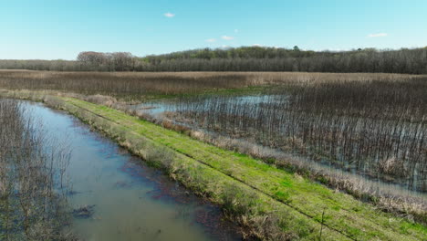 Humedales-En-El-área-De-Manejo-De-Vida-Silvestre-Del-Estado-De-Bell-Slough,-Arkansas,-EE.UU.---Disparo-De-Un-Dron