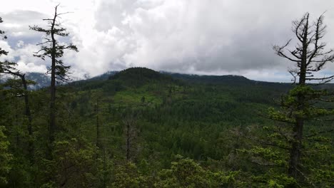 Beautiful-old-growth-forest-stretching-over-the-hills-and-mountains-of-the-Sunshine-Coast-Trail-in-British-Columbia,-Canada-on-a-gloomy-and-cloudy-day