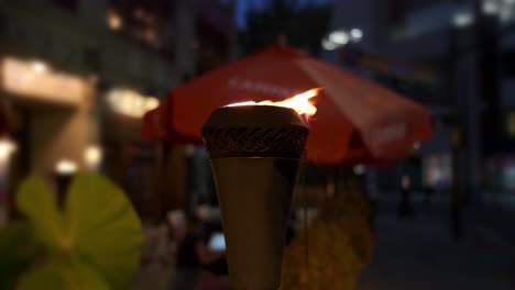 antorcha de fuego al aire libre en tiempo real con fuego en una salida nocturna