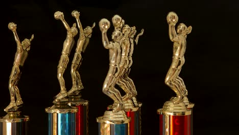 sports trophies for the winning volleyball team