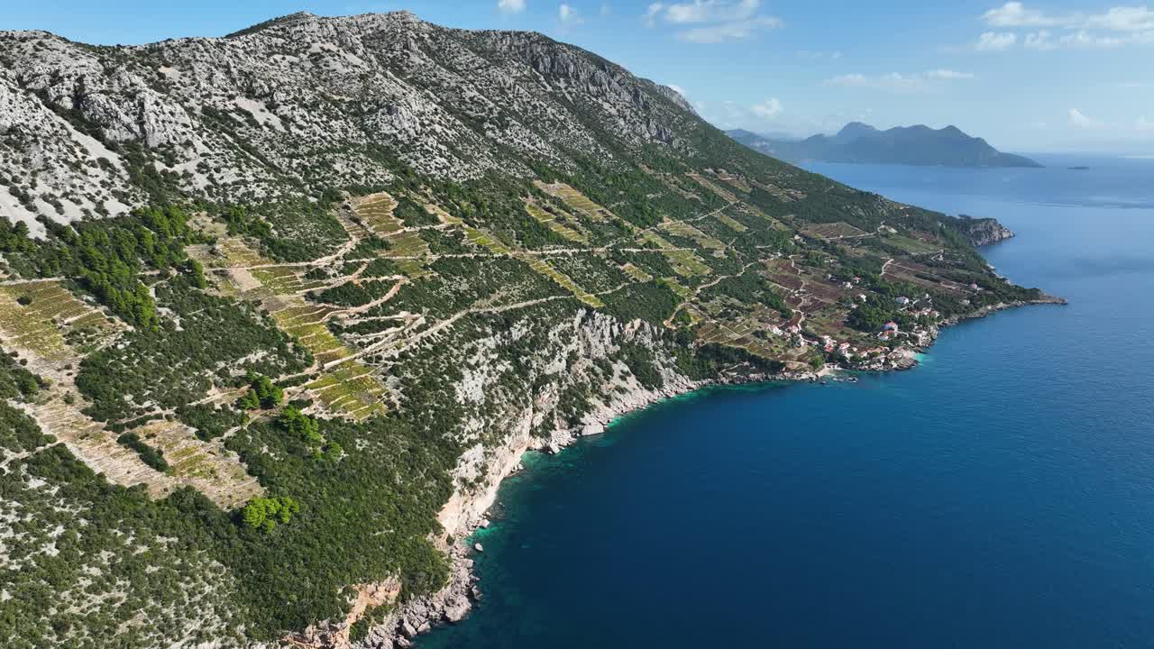 peljesac, acantilado rocoso verde sobre el adriático laguna azul agua del mar, es una península en el sur de dalmacia, paisaje croata