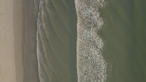 Las-Olas-Cruzan-La-Pantalla-De-Derecha-A-Izquierda