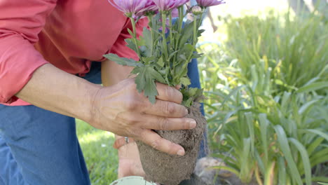 Feliz-Pareja-Diversa-De-Jardinería,-Plantando-Flores-En-Un-Jardín-Soleado,-Cámara-Lenta