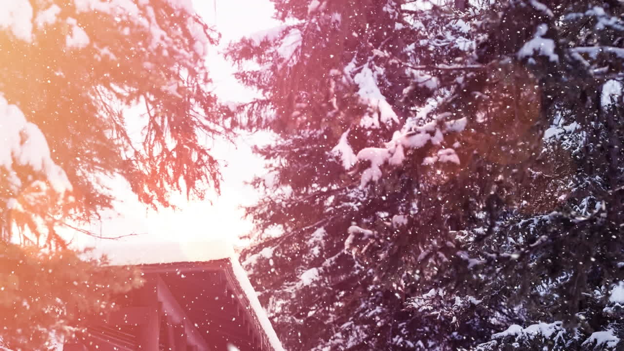 animación de nieve cayendo y manchas brillantes de luz sobre abetos en el paisaje de invierno