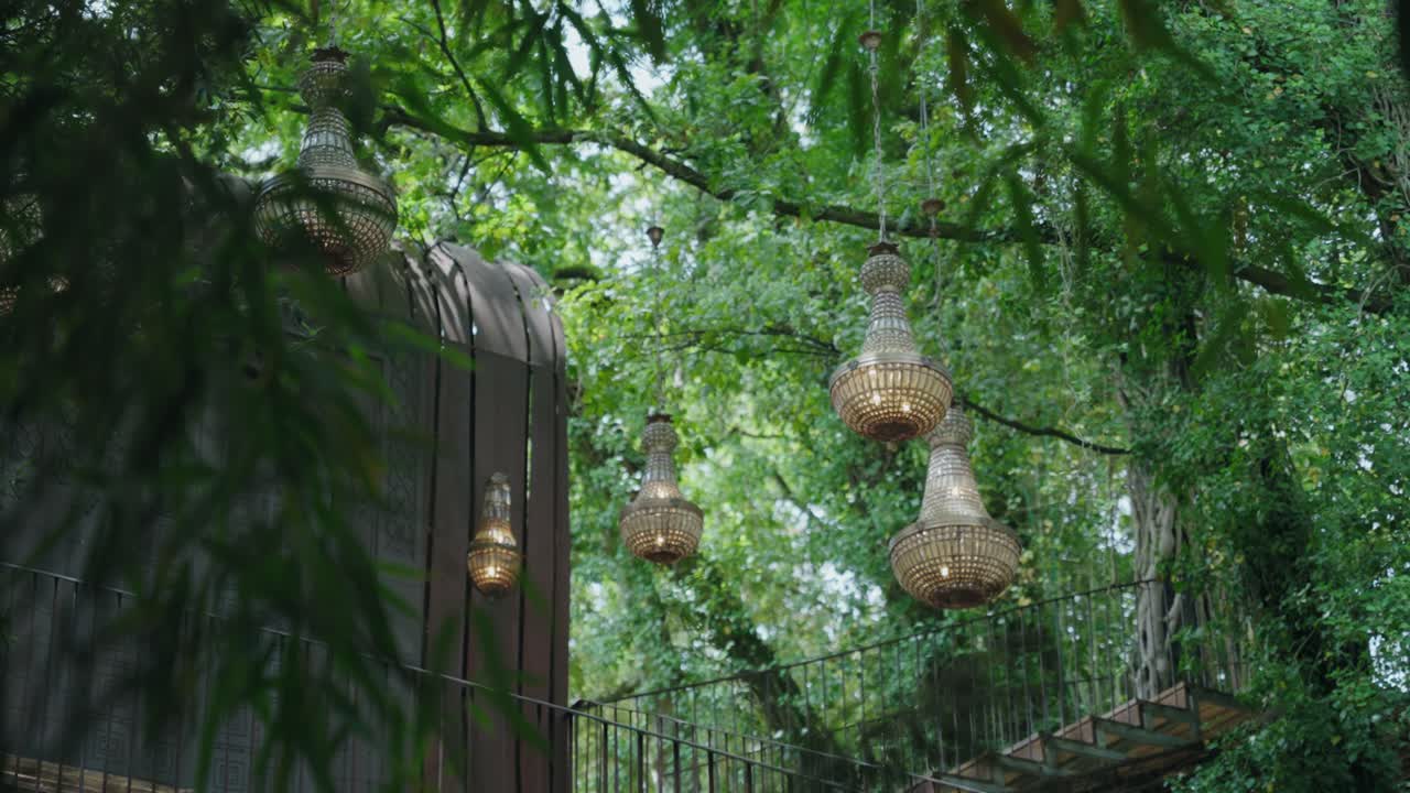 elegant chandeliers suspended from tree branches create dreamy outdoor ambiance