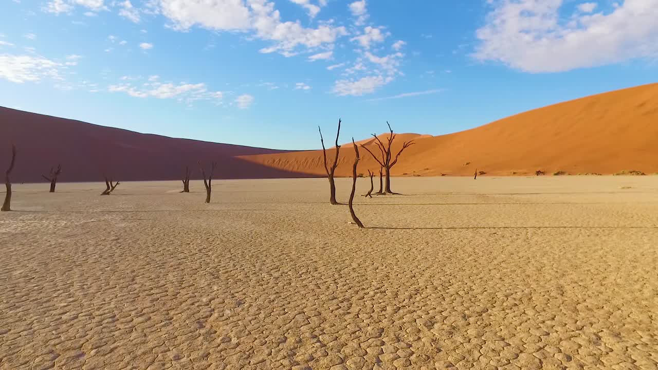 Moving shot through the Sossusvlei dead trees and sand dunes in Namibia Africa 2