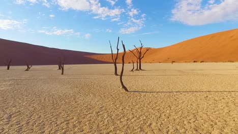 moving shot through the sossusvlei dead trees and sand dunes in namibia africa 2