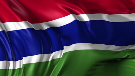bandera de la república de gambia