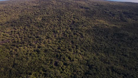 Revealing-Shot-Of-Duder-Spit-And-North-Shore-Of-Auckland-From-Lush-Green-Island-Of-Rangitoto-In-New-Zealand