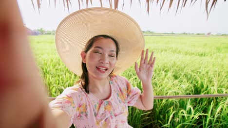 Adult-woman-making-video-call-showing-large-rice-production-field