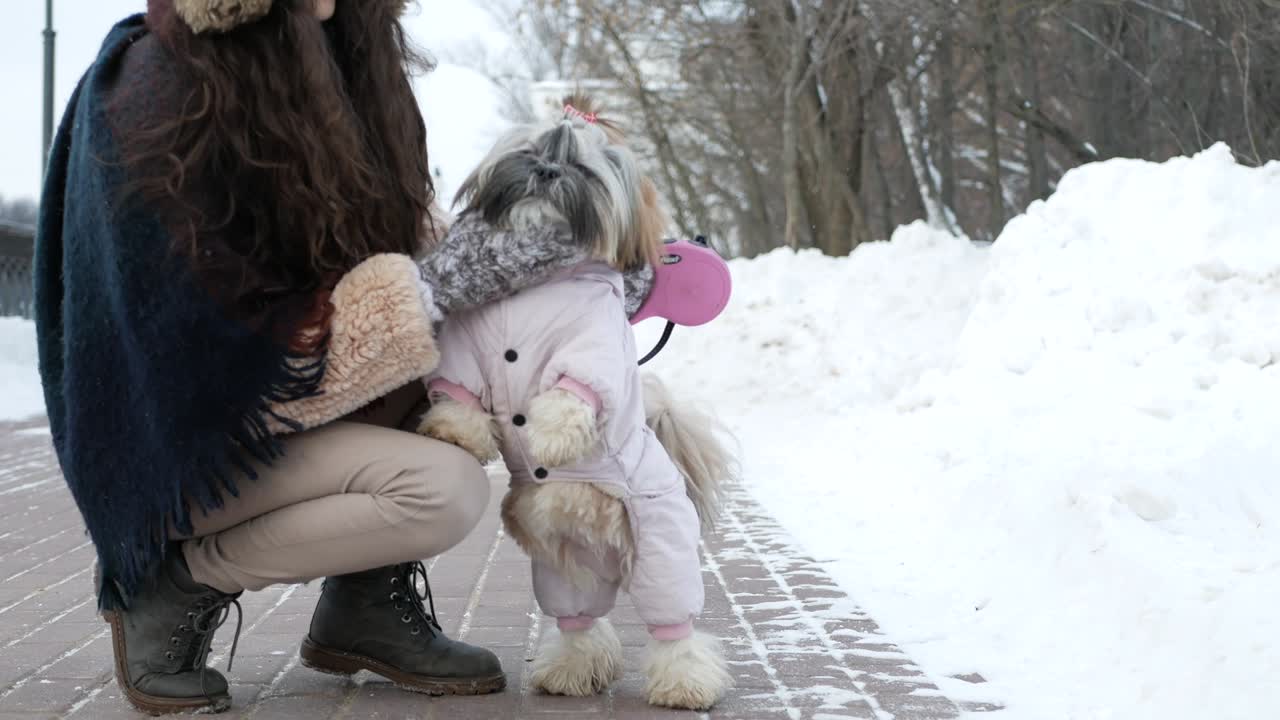 개와 함께 산책: 소녀는 개 shih tzu와 함께 겨울 공원을 걸어가고 있습니다.