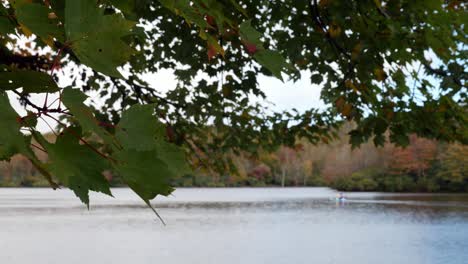 red maple in foreground at price lake near blowing rock nc in autumn