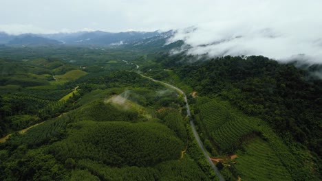 aerial mountain landscape