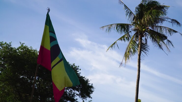 Rasta-Flagge und Palme an einem sonnigen Tag