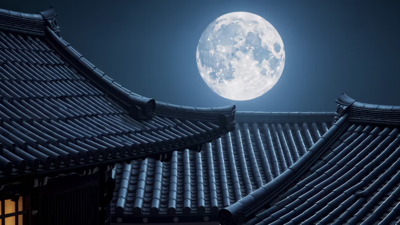 Ninja on the Roof at Night