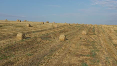 hay bales in a wheat crop under the blue sky 4k aerial video