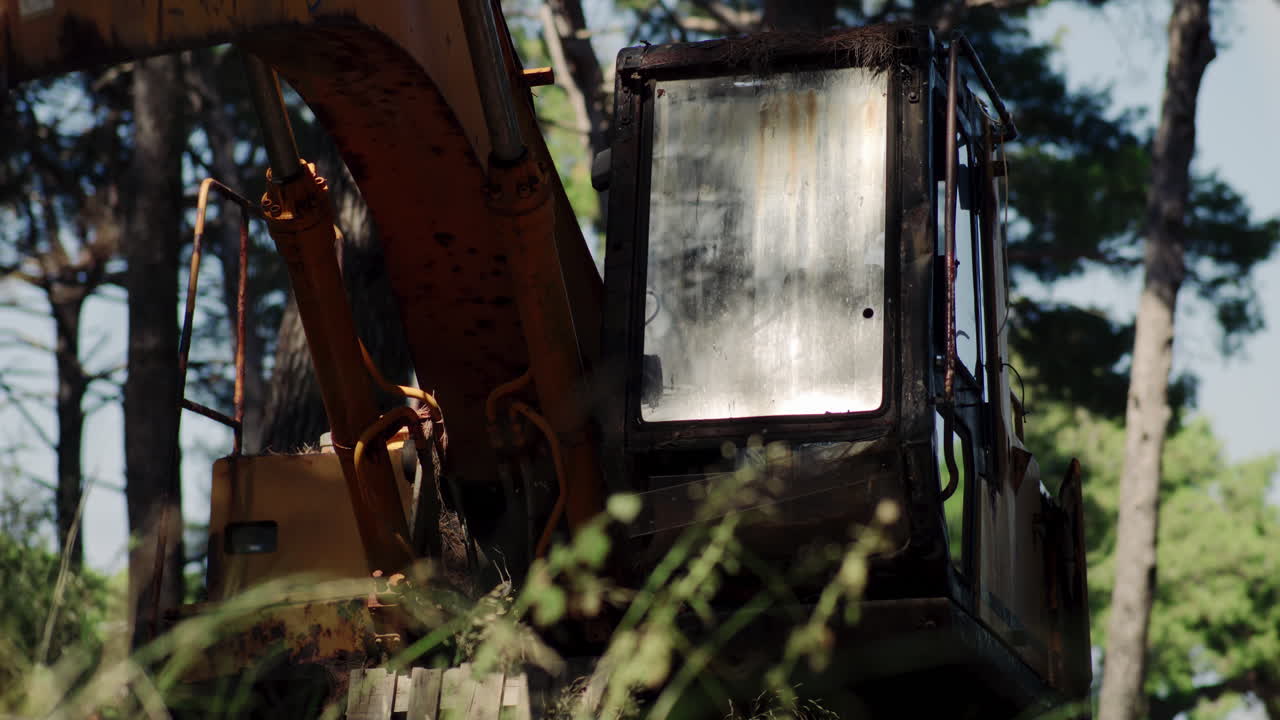 의 한가운데에서 나무  에 있는 발굴기의 중간 시각, 정적