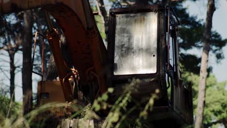 vista media de la excavadora en medio del campo debajo del dosel de los árboles, estática