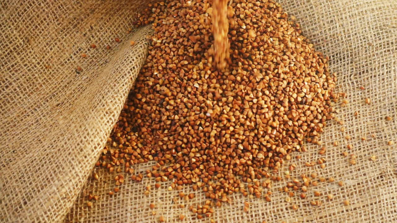 Buchweizen gießt auf Jute. Zeitlupe