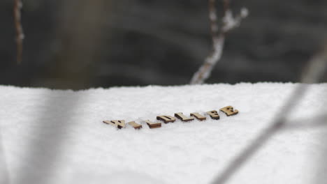 the word wildlife written with wooden letters on snow