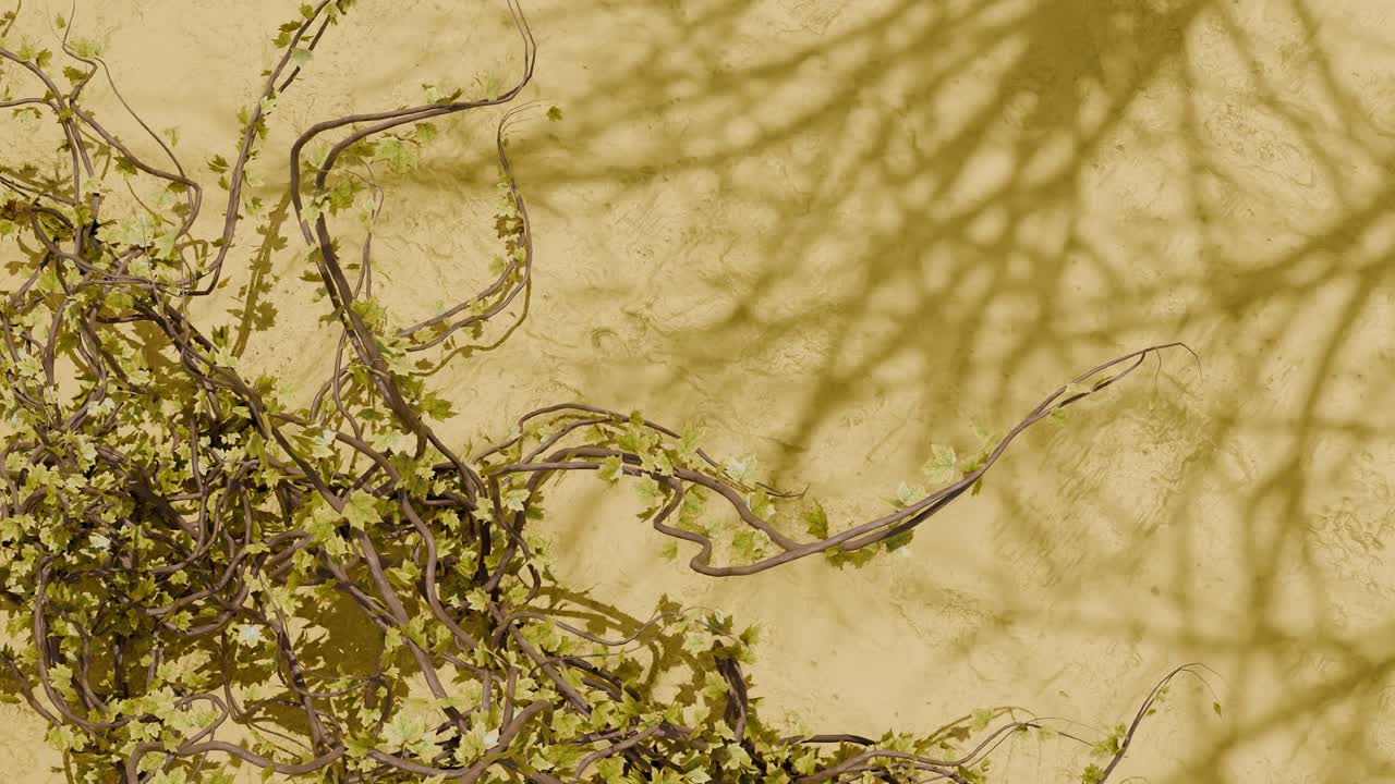 Green climbing vine with small leaves on textured yellow wall with plant shadows. Spring nature and garden concept. Design for wallpaper, poster, banner.Flat lay composition with copy space