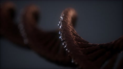 estructura en bucle de la animación de doble hélice de adn