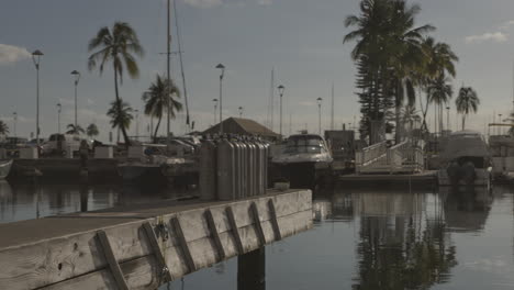 slow pan from a boat doc with palm trees over calm water with many sail boats docked on a beautiful summer day