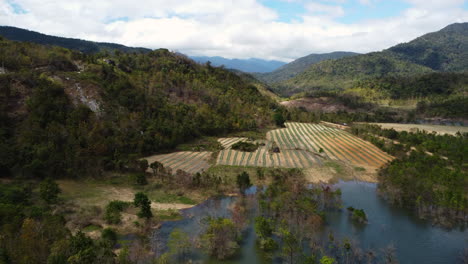 Aerial-view-of-patchwork-landscape-of-plantation-amid-tropical-forest-in-Vietnam