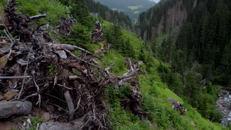 deep mountain valley with broken tree stumps on slope, aerial view