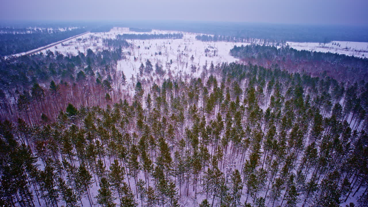Scena invernale del Michigan settentrionale con terreno coperto di neve