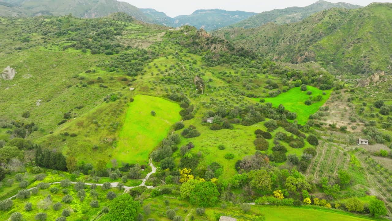 Valley With Trees In Calabria Uncontaminated Nature Green Color Relaxing