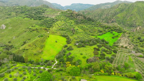 valley with trees in calabria uncontaminated nature green color relaxing
