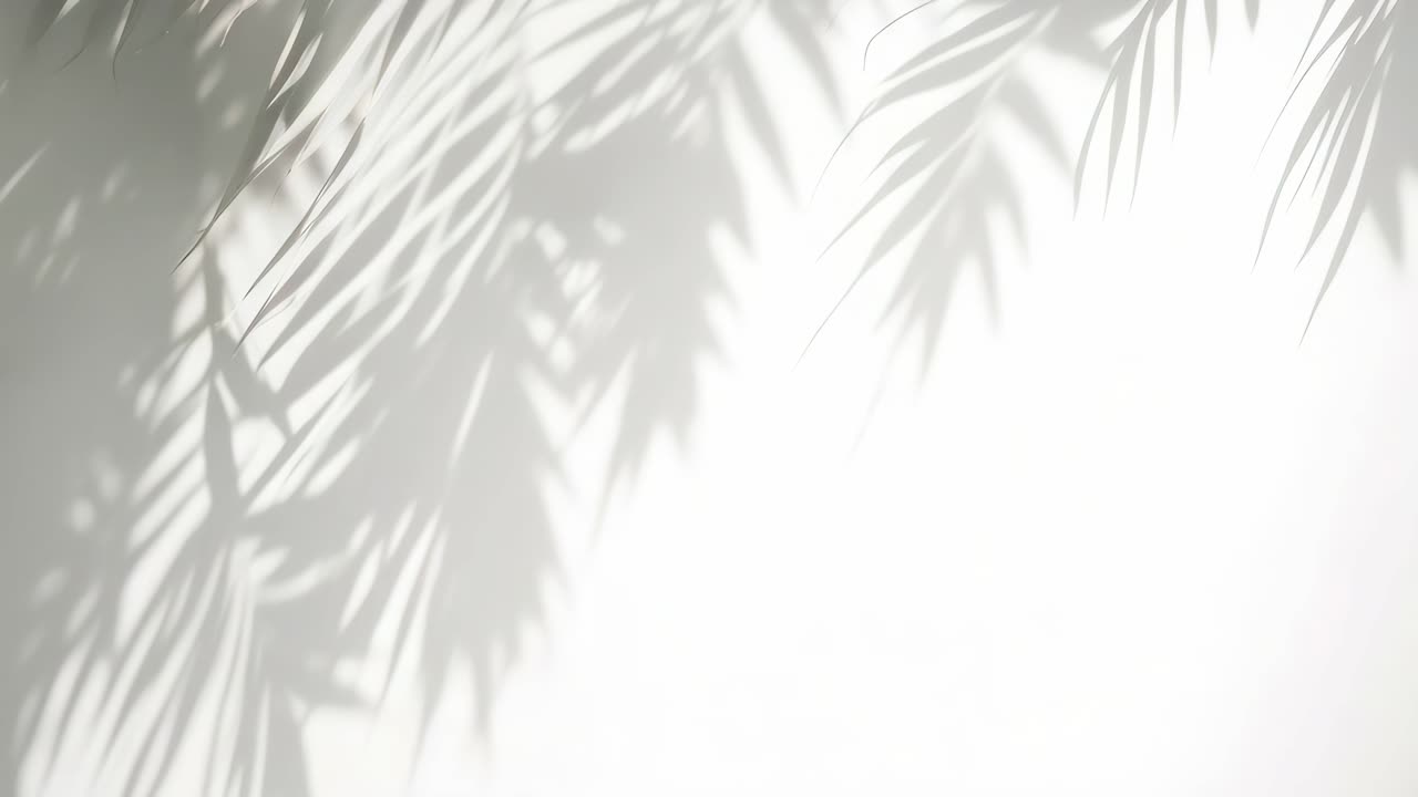 Soft shadows of palm leaves cast on a white wall, captured from a side angle