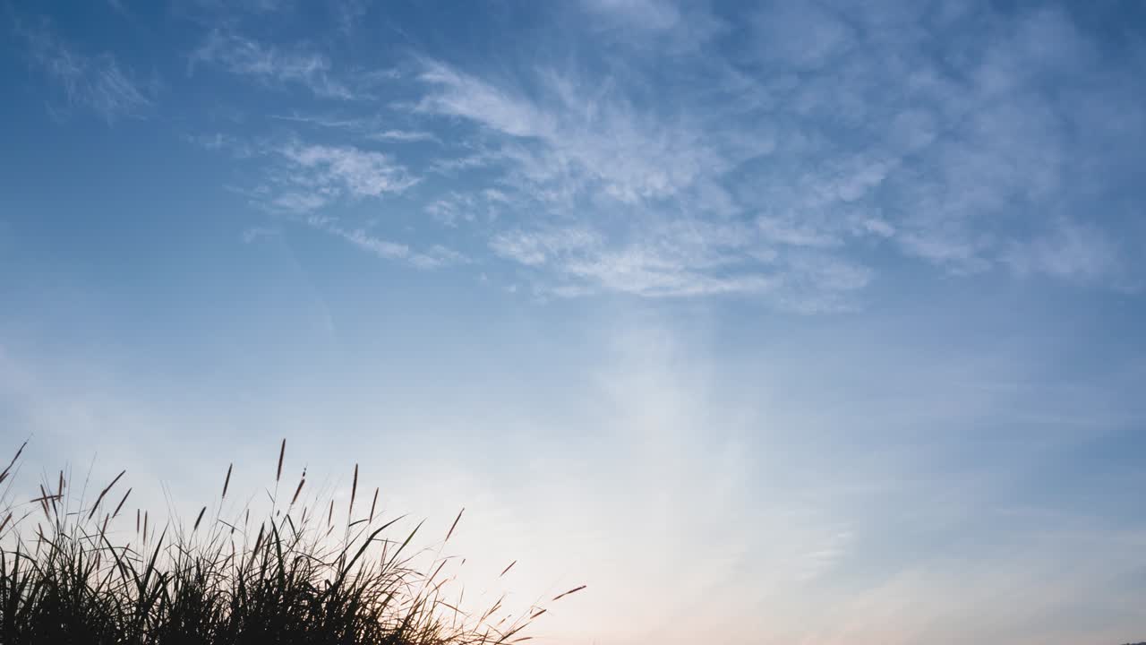 푸른 하늘 위에 빛나는 빛, 해가 뜨는 풍경, 자연의 배경, 은 높은 대기 속에서 서서히 움직이는  구름, 황금빛, 빛이 아름다운 꽃을 통해 빛나는, 구름 풍경.