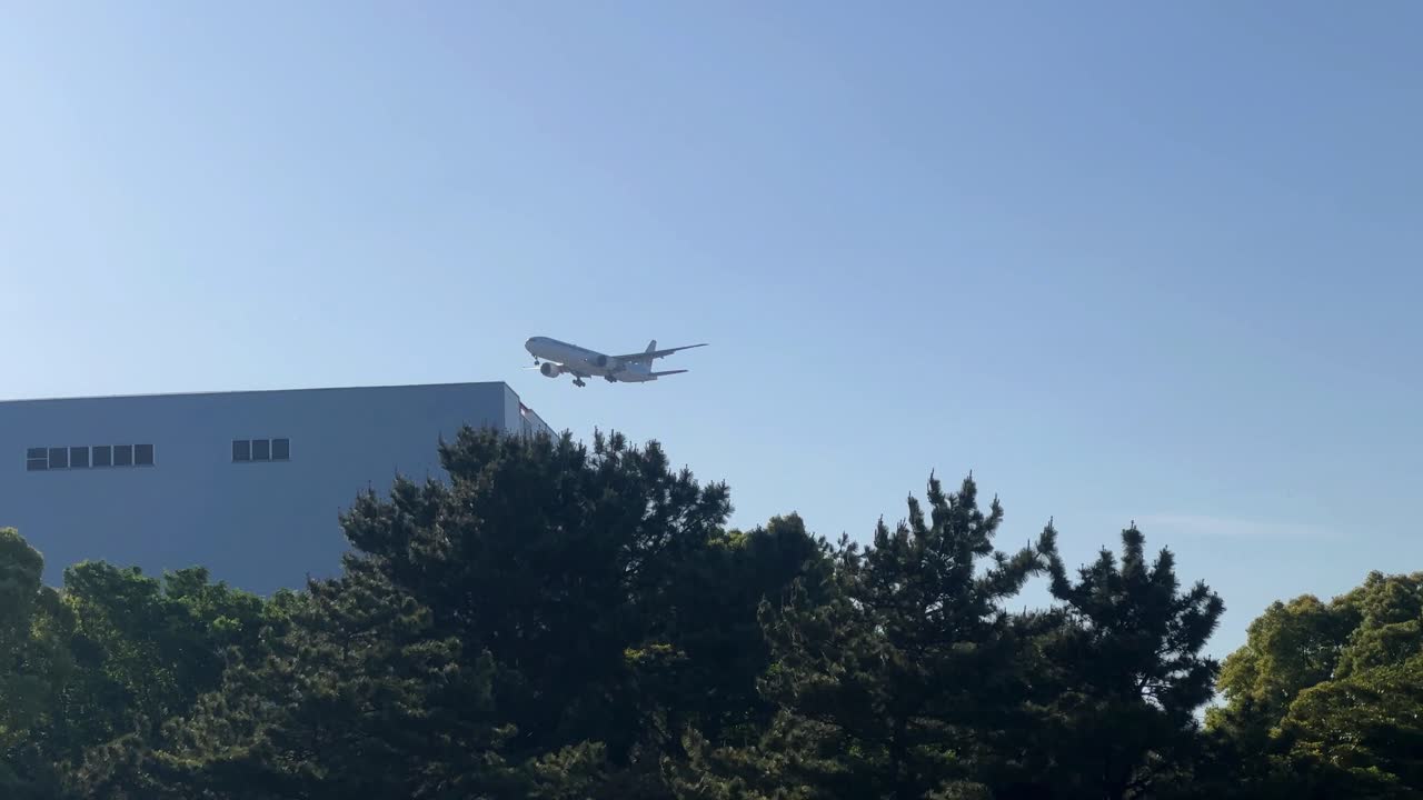 푸른 나무, 은 하늘을 배경으로 도시 공원 위에 착륙하는 비행기