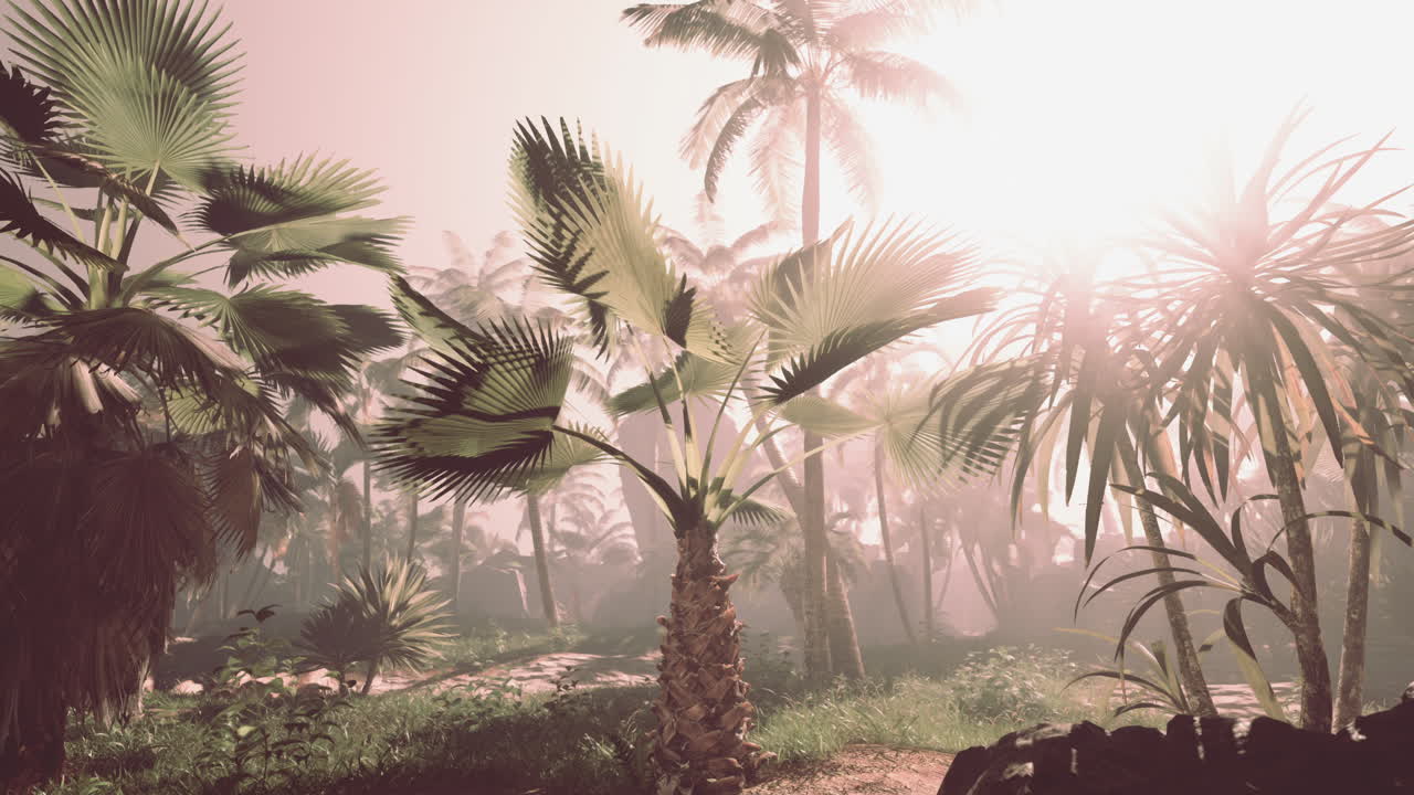 Tropical Forest with Palm Trees and Sunbeams