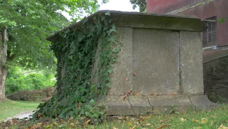 a chest tomb covered with ivy. stock video