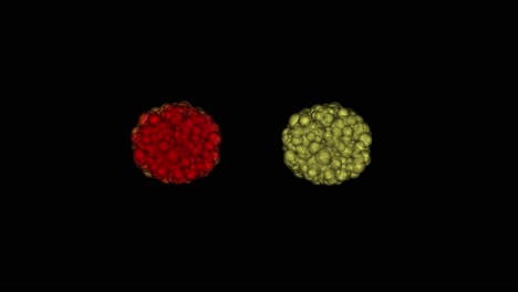 animated two neutrons atoms or cells for video overlay