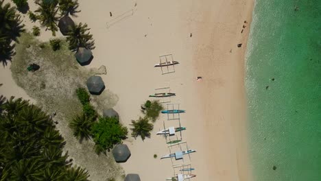 aerial view of palm trees, hut, sand, boat beach line