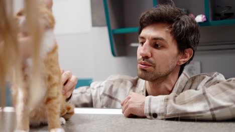 Close-up-of-a-happy-brunette-guy-in-a-plaid-shirt-talking-about-his-ginger-cat-during-an-appointment-with-a-veterinarian-in-a-pet-clinic