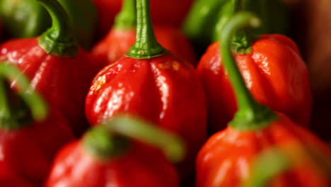 fresh chili pepper in a wooden bowl