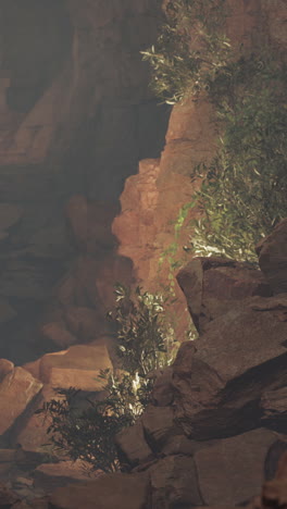 rocky cave landscape with plants