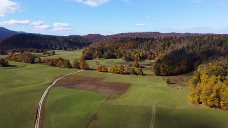 autumn's vibrant palette transforms planinsko polje near cerknica, slovenia, into a breathtaking symphony of red, green, yellow, and brown leaves